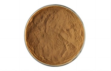 Cordyceps militaris extract powder