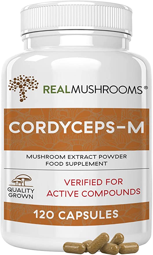 Cordyceps militaris extract related products1