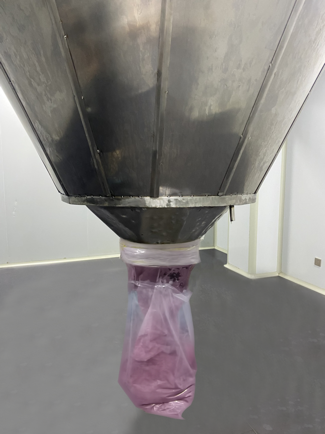 blue berry powder in package