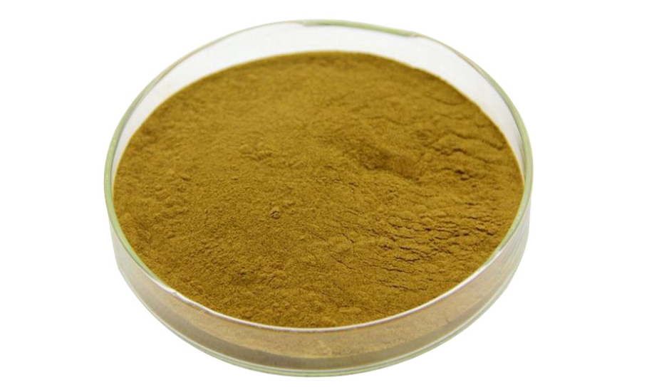 Andrographis Paniculate powder picture