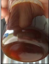 10% Total Asiaticoside liquid