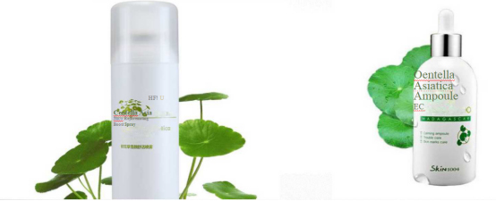 Toner of centella product