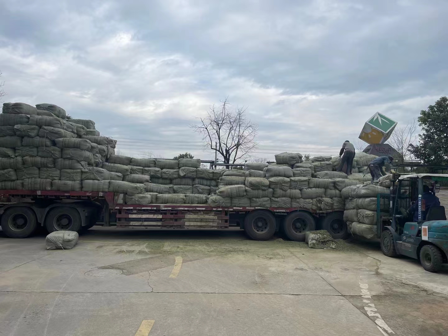 Centella raw material