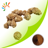 Maca extract 