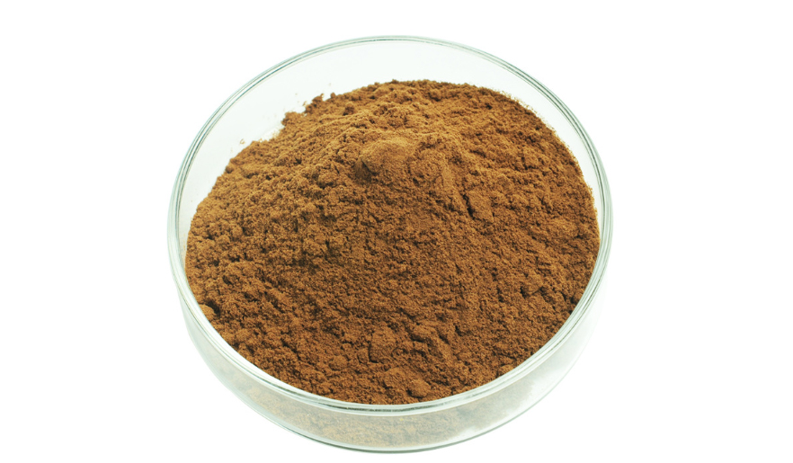 Chaga Mushroom extract.png