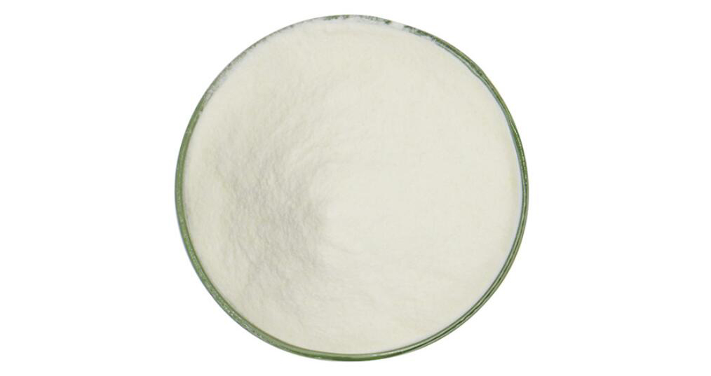Nattokinase powder picture