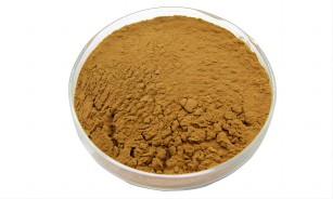 Chrysanthemum extract powder