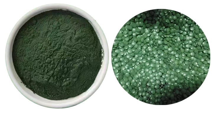 Spirulina powder 01