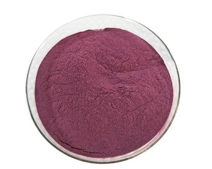 Billberry extract powder