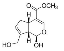 Molecular Structure of Genipin