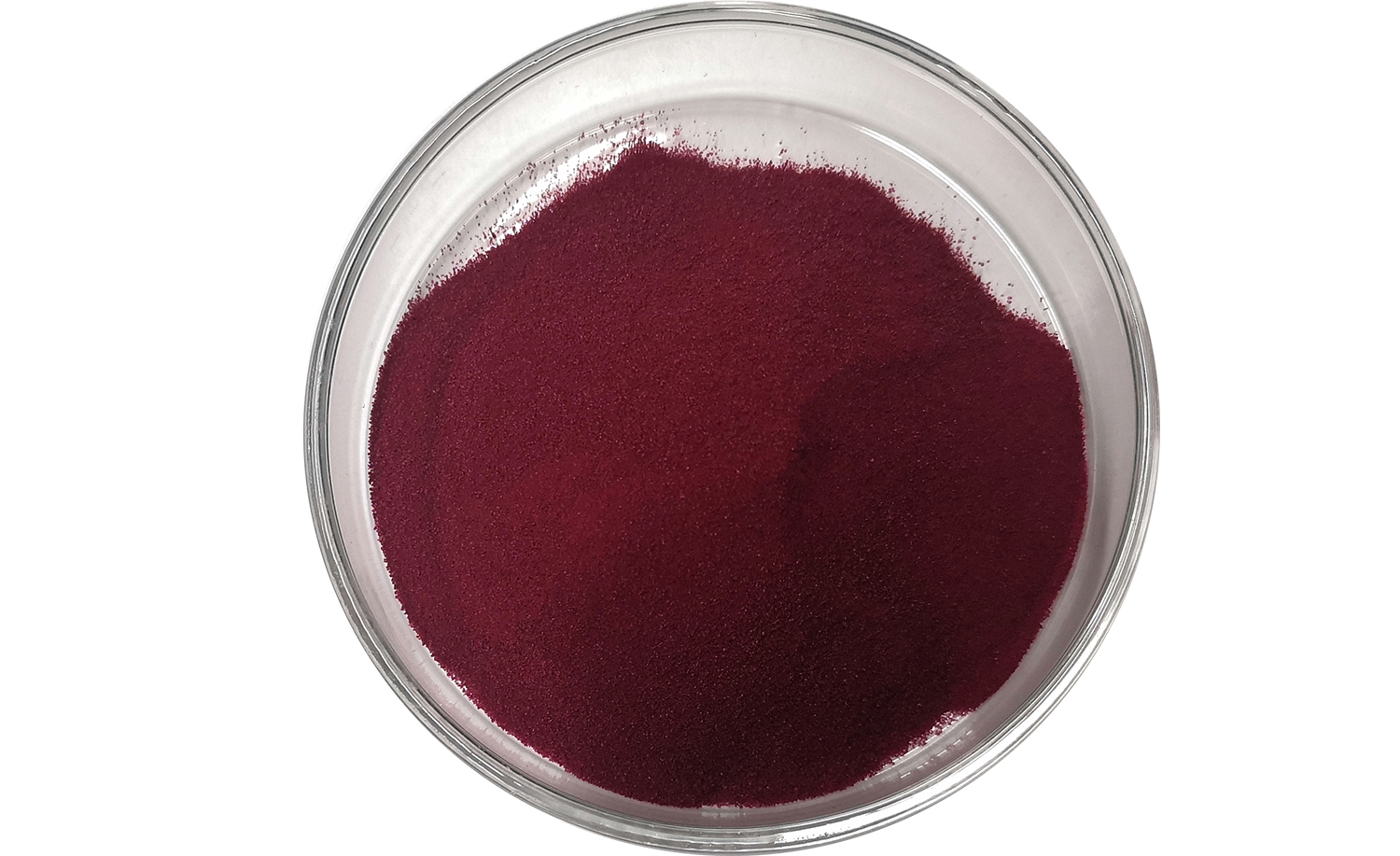 Blackcurrant powder 1