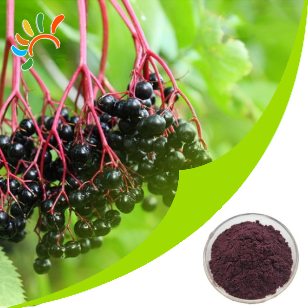 Elderberry extract