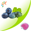 Blueberry fruit powder