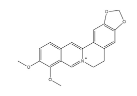 Molecular of berberine