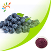 Blueberry extract