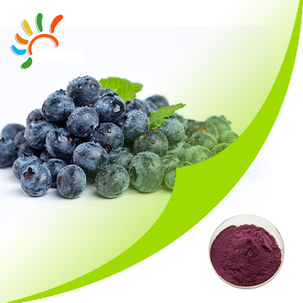 Blueberry extract