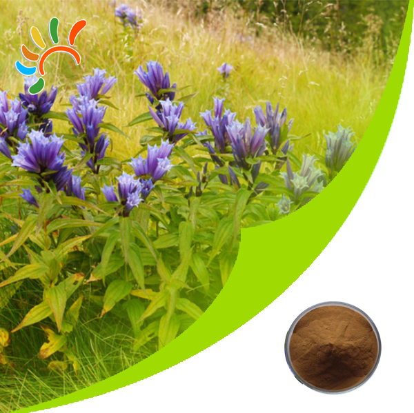 Gentian extract