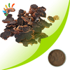 Black ginger extract