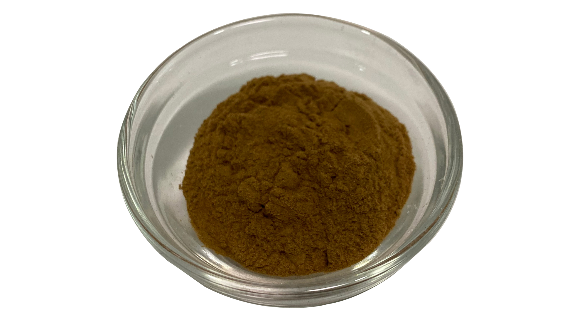 Apple polyphenol powder