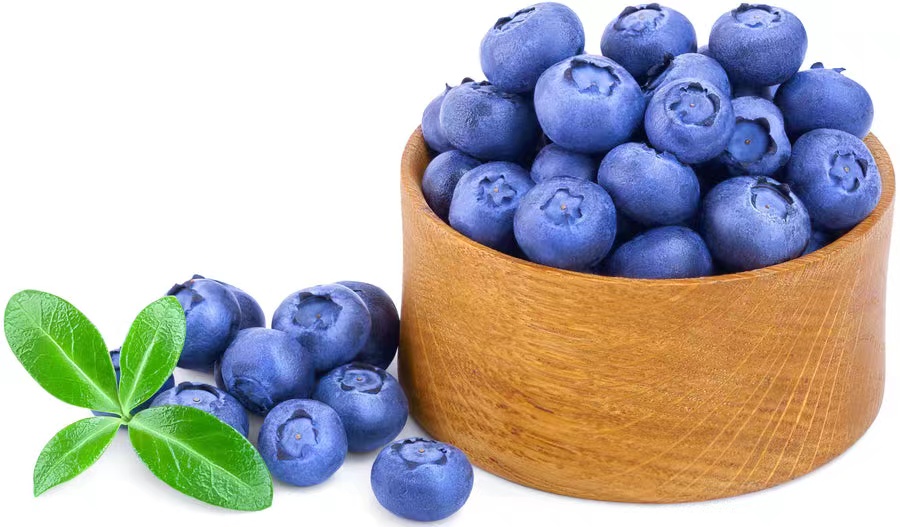 Bilberry fruit
