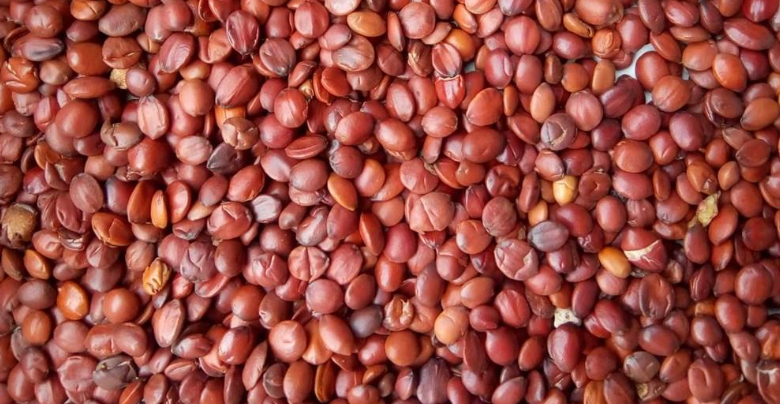 Spina date seed extract picture