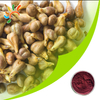 Grape seed extract