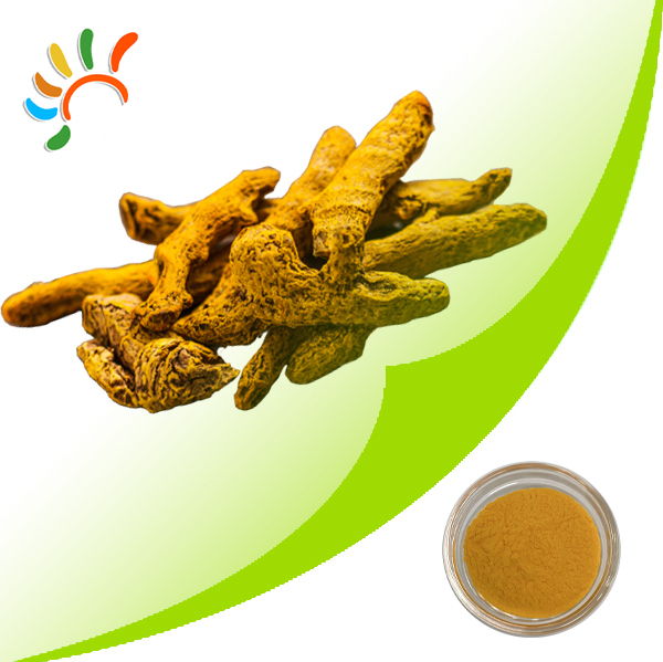 Turmeric Extract