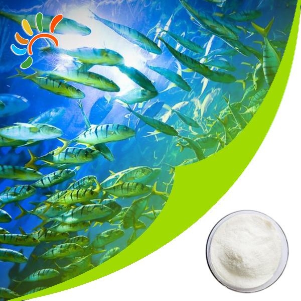 Fish collagen peptide powder