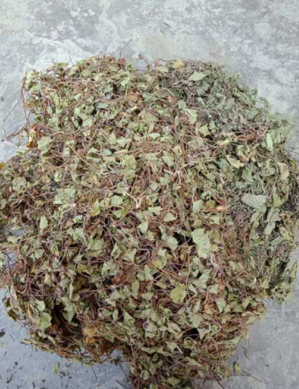 Raw material of centella extract powder
