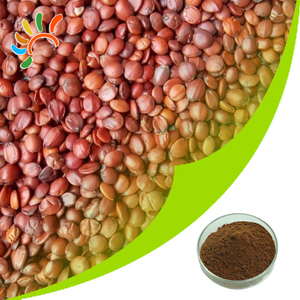 Jujube Seeds Extract