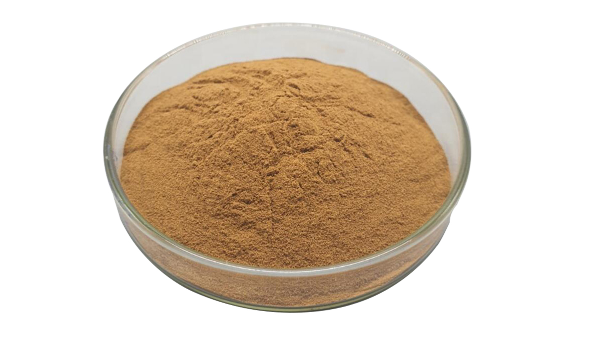 Spina date seed extract powder picture
