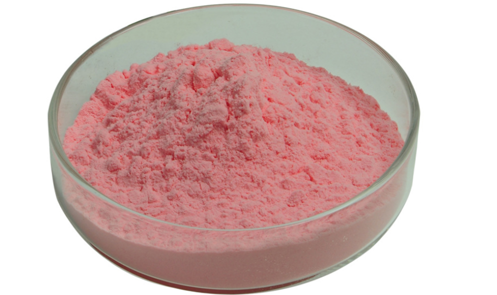 Cherry Fruit Powder 实物picture