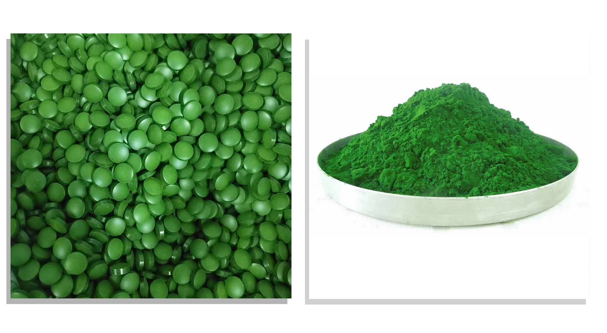 Chlorella