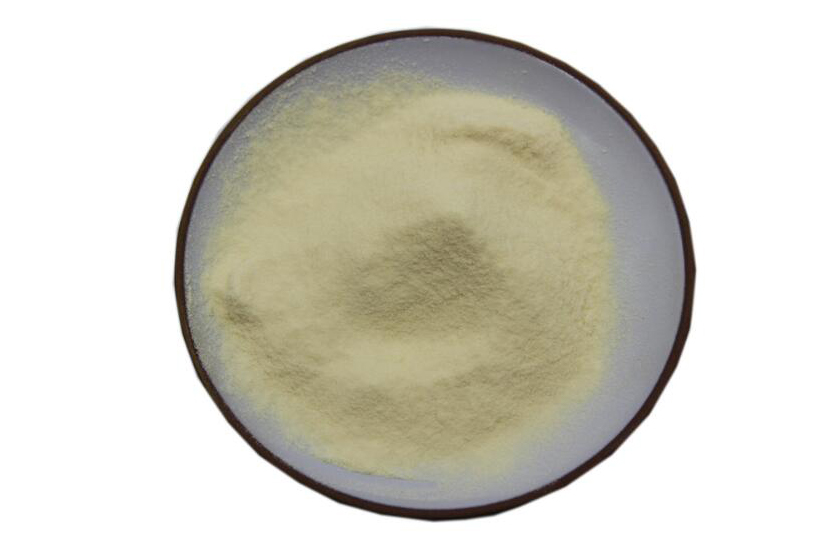 Kiwi Fruit Powder picture