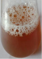 40% Total Asiaticoside liquid